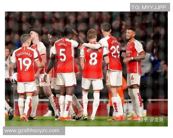 足球明星进球区域分析与统计研究报告