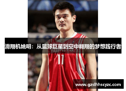 滑翔机姚明：从篮球巨星到空中翱翔的梦想践行者