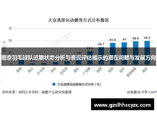 南京羽毛球队近期状态分析与表现评估揭示的潜在问题与发展方向