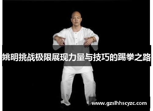 姚明挑战极限展现力量与技巧的踢拳之路